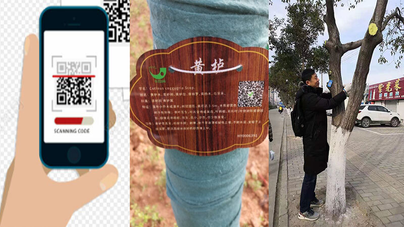 k1体育,k1体育官网,k1体育-十年品牌,k1体育十年品牌值得信赖